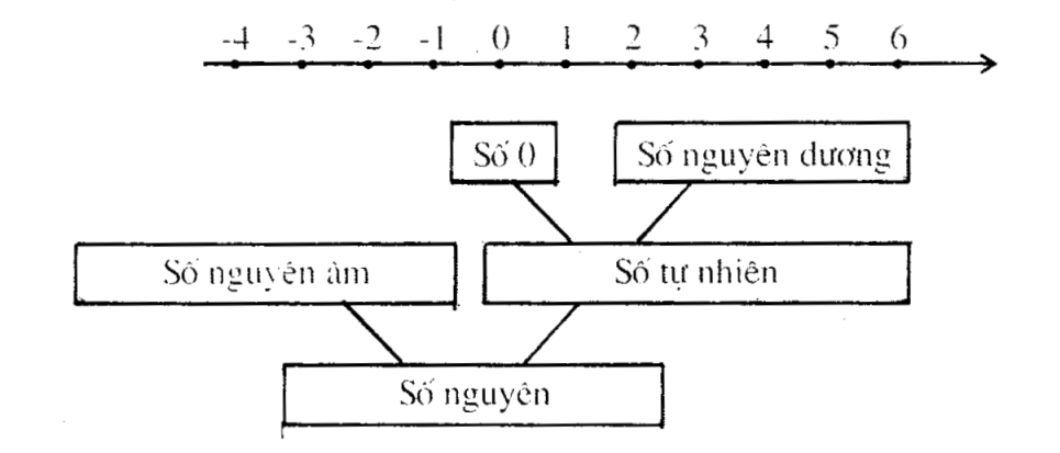 Bảng biểu diễn tập số nguyên